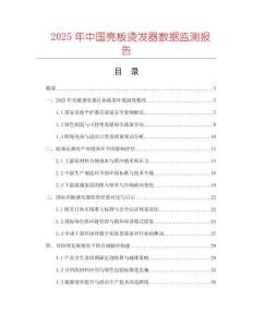 2025年中國亮板燙發器數據監測報告