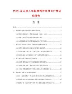 2026及未來5年鞋面網帶項目可行性研究報告
