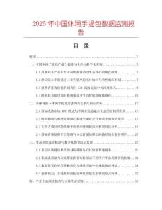 2025年中國(guó)休閑手提包數(shù)據(jù)監(jiān)測(cè)報(bào)告