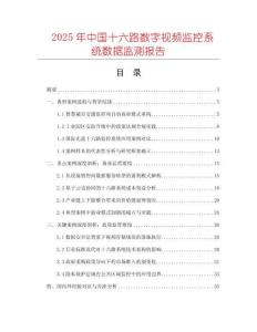 2025年中國十六路數(shù)字視頻監(jiān)控系統(tǒng)數(shù)據(jù)監(jiān)測報告