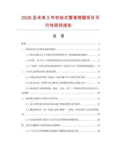 2026及未來5年吹槍式管清理器項目可行性研究報告