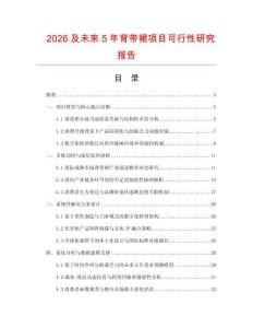 2026及未來5年背帶裙項目可行性研究報告