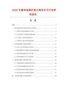 2026年膨體玻璃纖維方繩項目可行性研究報告