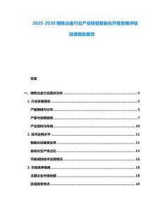2025-2030钢铁冶金行业产业转型智能化升级发展评估投资规划报告