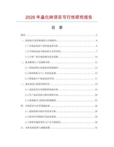 2026年晶化磚項目可行性研究報告