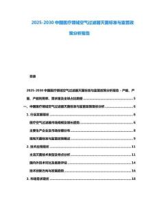 2025-2030中國醫療領域空氣過濾器滅菌標準與監管政策分析報告