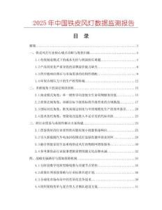 2025年中國鐵皮風燈數據監測報告