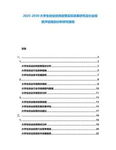 2025-2030大學生創(chuàng)業(yè)扶持政策實際效果研究及社會投資評估規(guī)劃分析研究報告