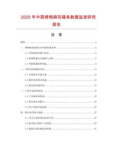 2025年中國銹鋼麻花輻條數據監測研究報告