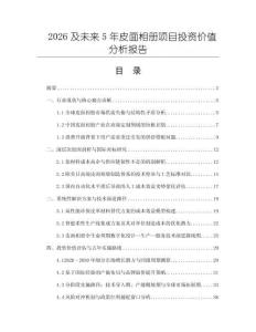 2026及未來5年皮面相冊項目投資價值分析報告