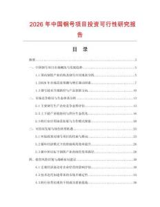 2026年中國鋼號項目投資可行性研究報告