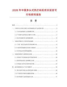 2026年中國(guó)多頭式熱打碼機(jī)項(xiàng)目投資可行性研究報(bào)告