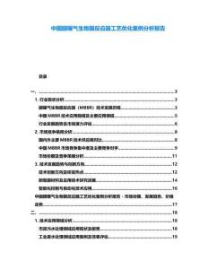 中國膜曝氣生物膜反應器工藝優化案例分析報告