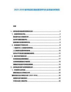 2025-2030城市軌道交通運營效率與社會效益分析報告