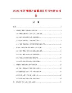2026年开槽膜片碟簧项目可行性研究报告