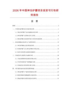 2026年中國神功護腰項目投資可行性研究報告