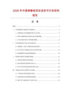 2026年中國修整筆項目投資可行性研究報告