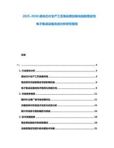 2025-2030感光芯片生產工藝氧雜質控制光刻膠穩定性電子集成設備改進分析研究報告