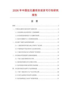 2026年中國拉孔器項(xiàng)目投資可行性研究報(bào)告