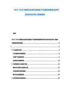 2025-2030梗直拉伯高科技园区产业集群发展模式研究及知识经济导入策略报告