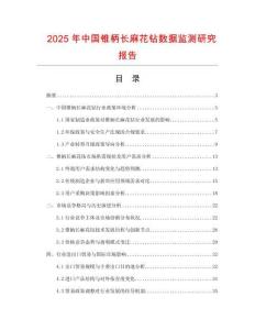2025年中國錐柄長麻花鉆數據監測研究報告