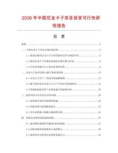 2026年中國尼龍卡子項目投資可行性研究報告