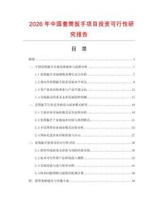 2026年中國(guó)套筒扳手項(xiàng)目投資可行性研究報(bào)告