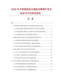 2026年中國智能低光強航空障礙燈項目投資可行性研究報告