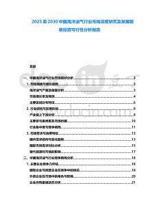 2025至2030中國海洋油氣行業市場深度研究及發展前景投資可行性分析報告