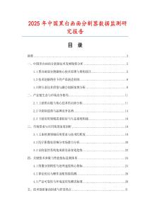 2025年中國黑白畫面分割器數(shù)據(jù)監(jiān)測研究報告