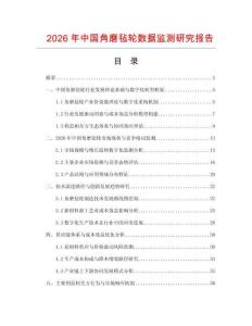 2026年中國角磨氈輪數據監測研究報告