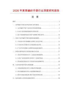 2026年麥草編織手袋行業(yè)深度研究報(bào)告