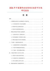 2026年中國塑料改性劑項目投資可行性研究報告