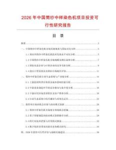 2026年中國筒紗中樣染色機項目投資可行性研究報告