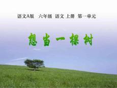 A版語文五年級(上) 想當一棵樹 課件
