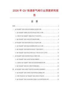 2026年QV快速排氣閥行業(yè)深度研究報(bào)告