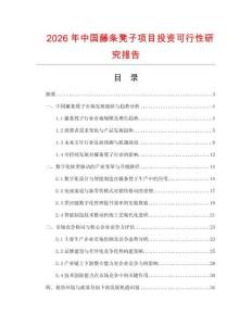 2026年中國藤條凳子項目投資可行性研究報告