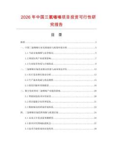 2026年中國三氯噻嗪項目投資可行性研究報告