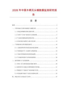 2026年中國(guó)木柄無(wú)頭錘數(shù)據(jù)監(jiān)測(cè)研究報(bào)告