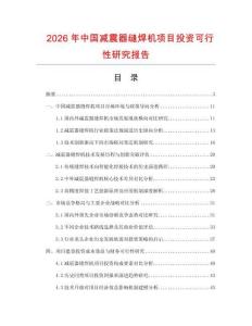 2026年中國減震器縫焊機項目投資可行性研究報告