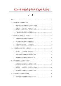 2026年搪膠鴨子行業(yè)深度研究報(bào)告
