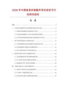 2026年中國家具拆裝配件項目投資可行性研究報告