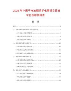 2026年中國干電池剃須手電筒項目投資可行性研究報告