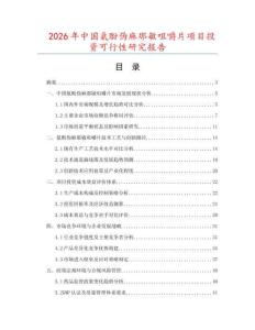 2026年中國氨酚偽麻那敏咀嚼片項目投資可行性研究報告
