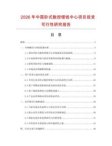 2026年中國臥式數控鏜銑中心項目投資可行性研究報告