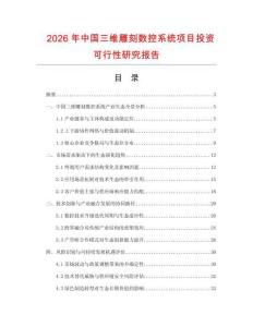 2026年中國三維雕刻數控系統項目投資可行性研究報告