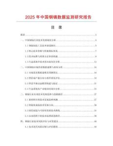 2025年中國鋼鎬數據監測研究報告