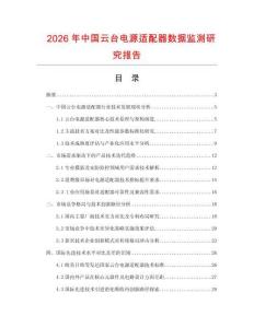2026年中國云臺電源適配器數(shù)據(jù)監(jiān)測研究報告