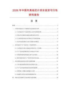 2026年中國布美他尼片項目投資可行性研究報告