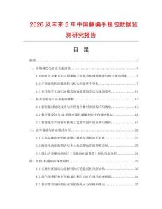 2026及未來5年中國藤編手提包數據監測研究報告